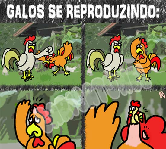 galos