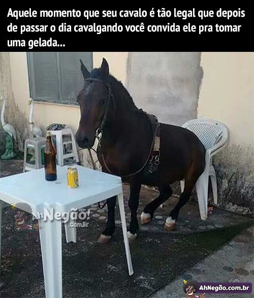 cavalo