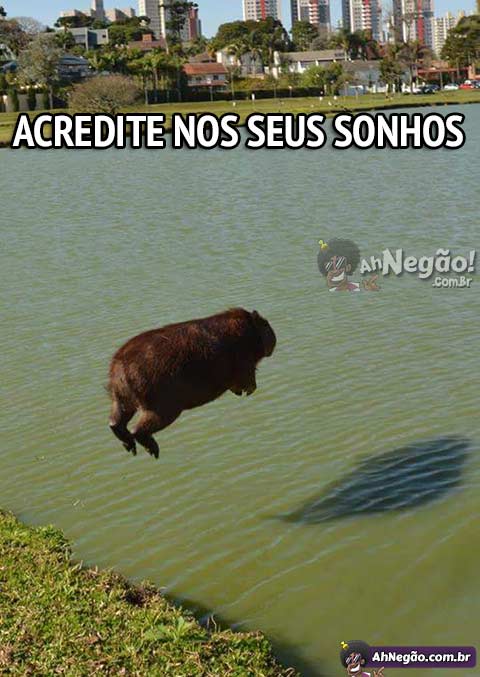 capivara