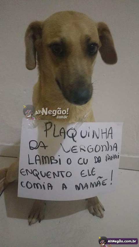 vergonha