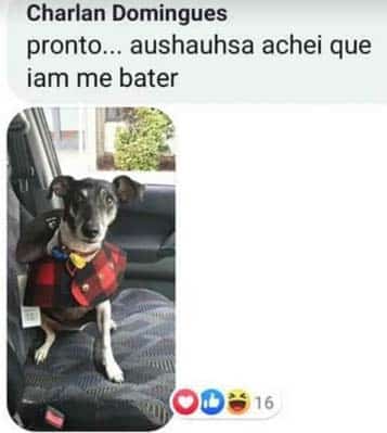 O cara que postou a foto mais assustadora de um cachorro já vista no grupo  de mascotes