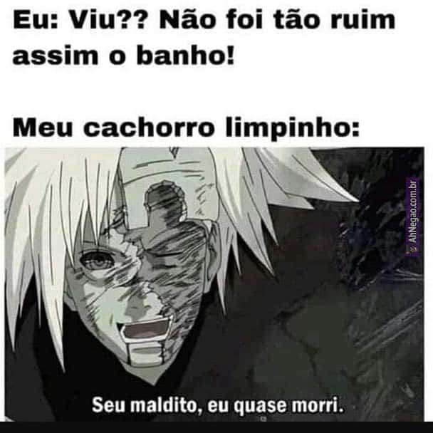 MEMES DE ANIMES, Memes em Imagens #12