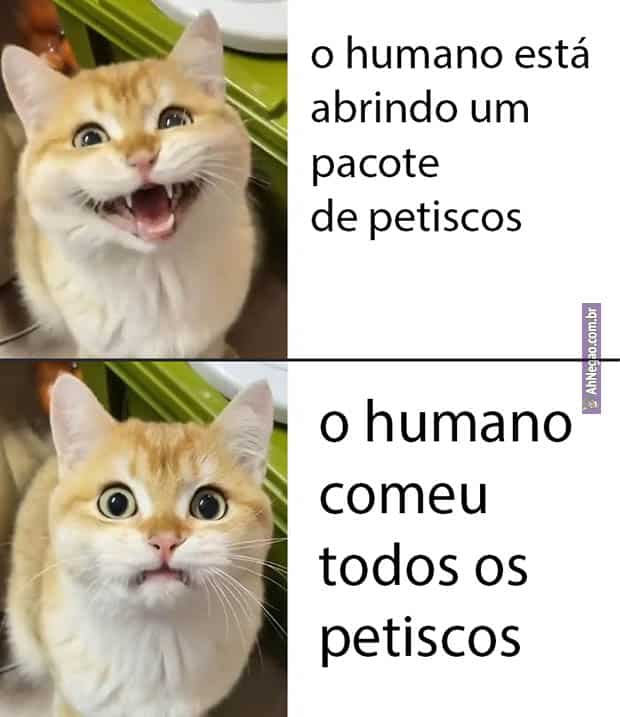 COMPILADO DE MEMES BR EM IMAGENS ENGRAÇADOS #024 